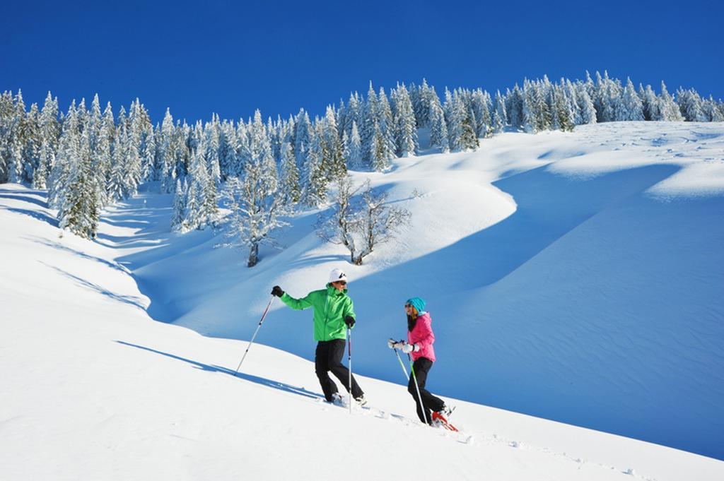 Hotel Alpenrose Muehlbach Am Hochkoenig エクステリア 写真