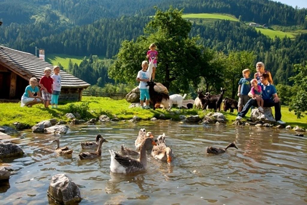 Hotel Alpenrose Muehlbach Am Hochkoenig エクステリア 写真