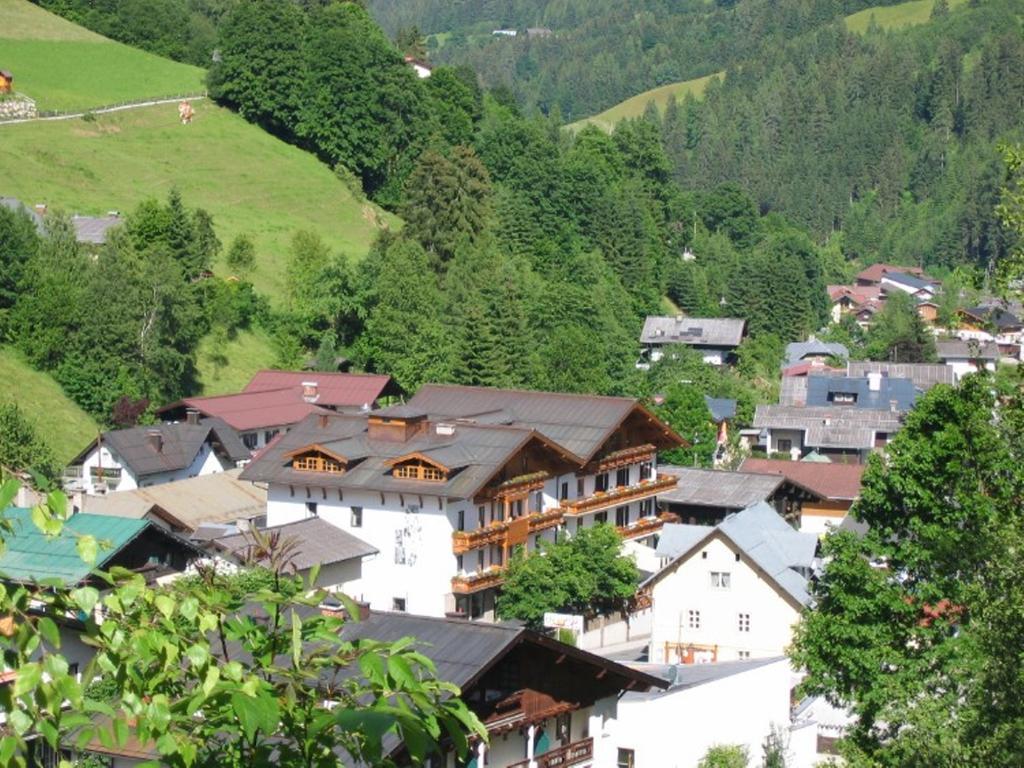 Hotel Alpenrose Muehlbach Am Hochkoenig エクステリア 写真